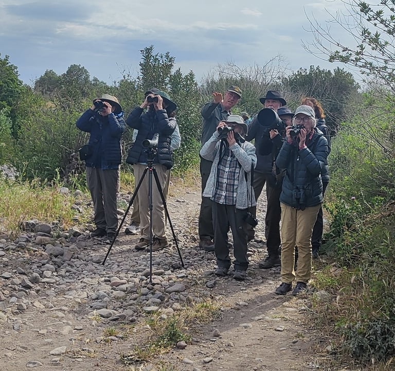 a group of people walking on a dirt road birdwatching