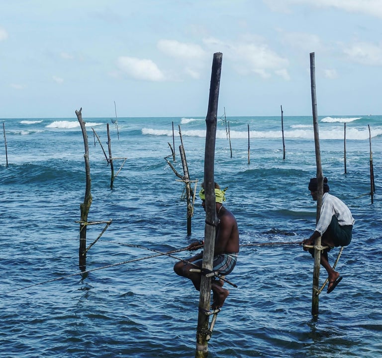 stilt fishing sri lanka