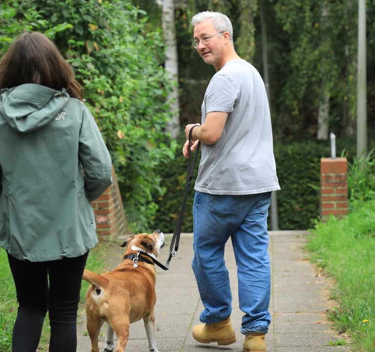 Hundetrainerin gibt Tipps an Hundehalter mit Hund im Training