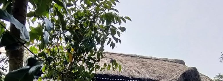 Travel Bagicha - Sunderbans Retreat