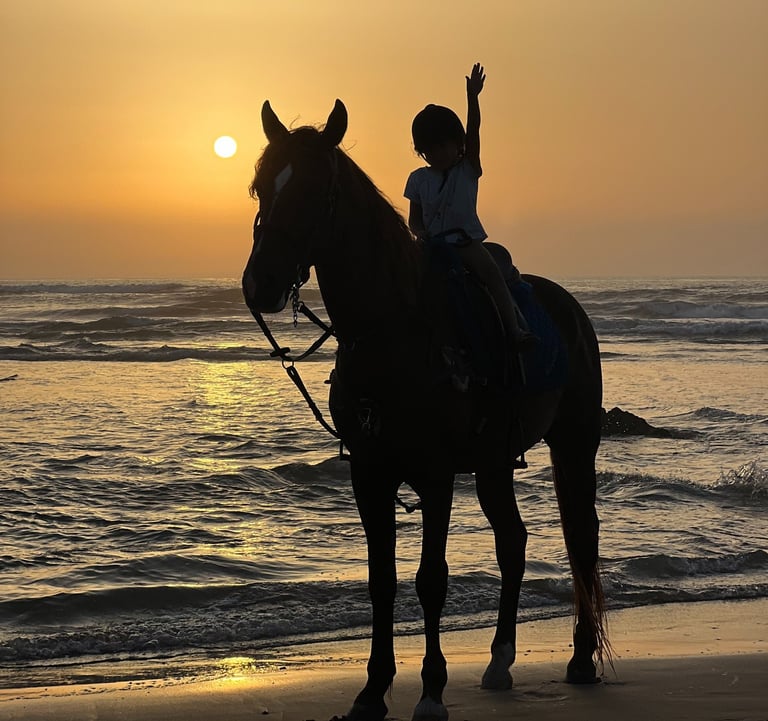 enfant à cheval en bord de mer pendant le coucher de soleil