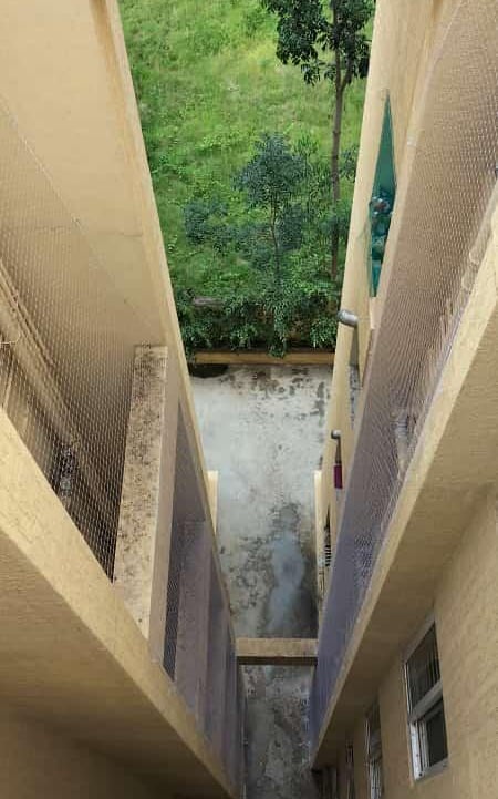 pigeon nts for duct area in bengaluru
