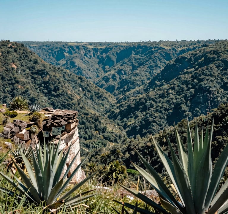 A panoramic landscape view from the top of Hierve el Agua looking down into the lush Oaxacan valley. Mexican agave plants frame the foreground, while the petrified stone structure drops off into a valley of deep greens and teal-shaded forests under a bright, clear sky.