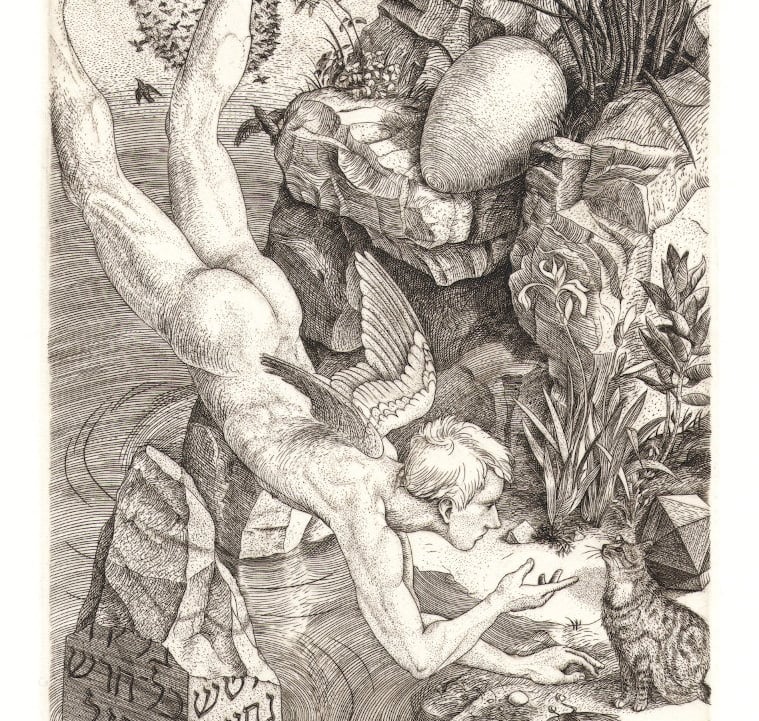 Cain cat bird angel Durer Hebrew inscription hand engraving Robert De Groff DeGroff