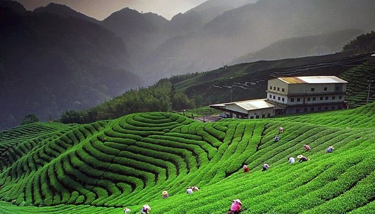 Kausani, Uttarakhand
