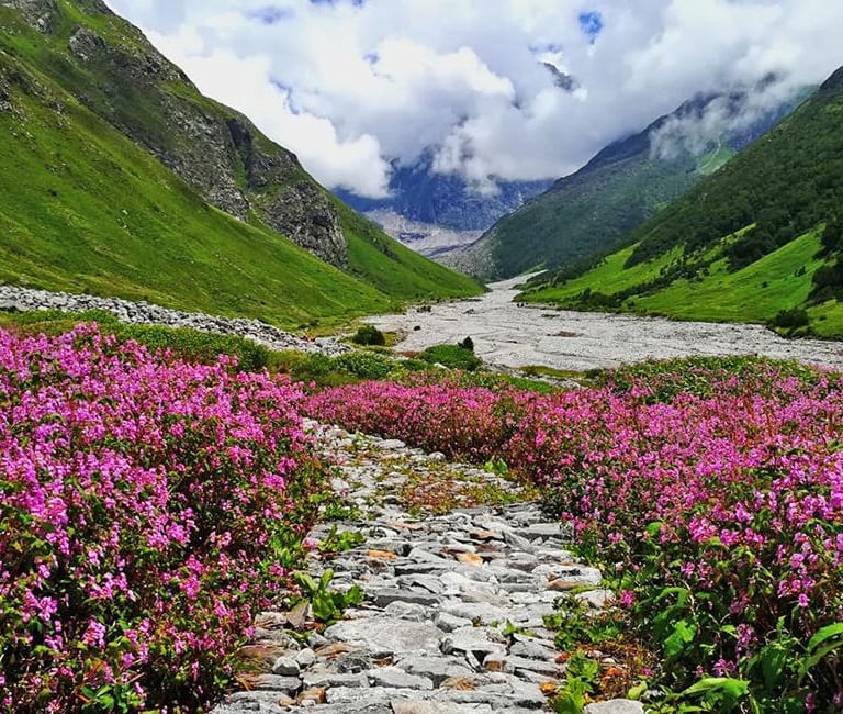 Valley of Flowers, Uttarakhand. | Uttarakhand Tourism
