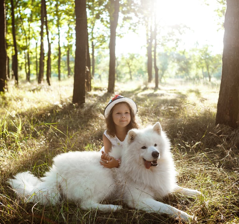 un chien avec une petite fille au milieu de la forêt