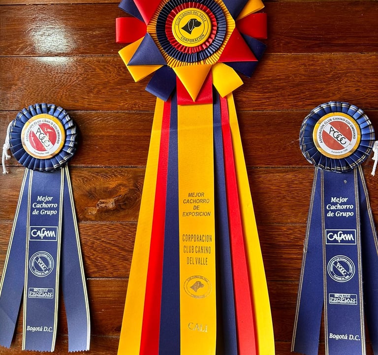 Premios Exposiciones Caninas Pet Lovers