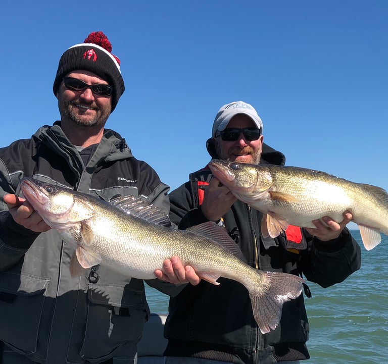 Lake Erie Walleye Fishing
