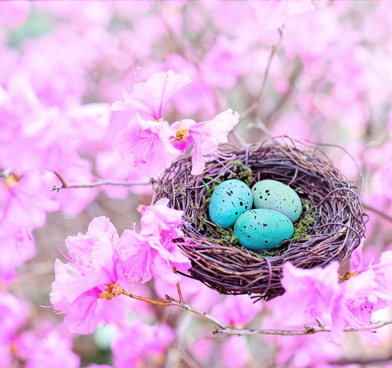 guérison spirituelle de la vie intra-utérine, guérison spirituelle de la naissance