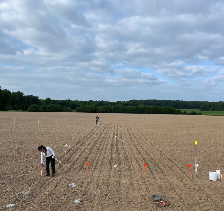 expérimentation agronomique