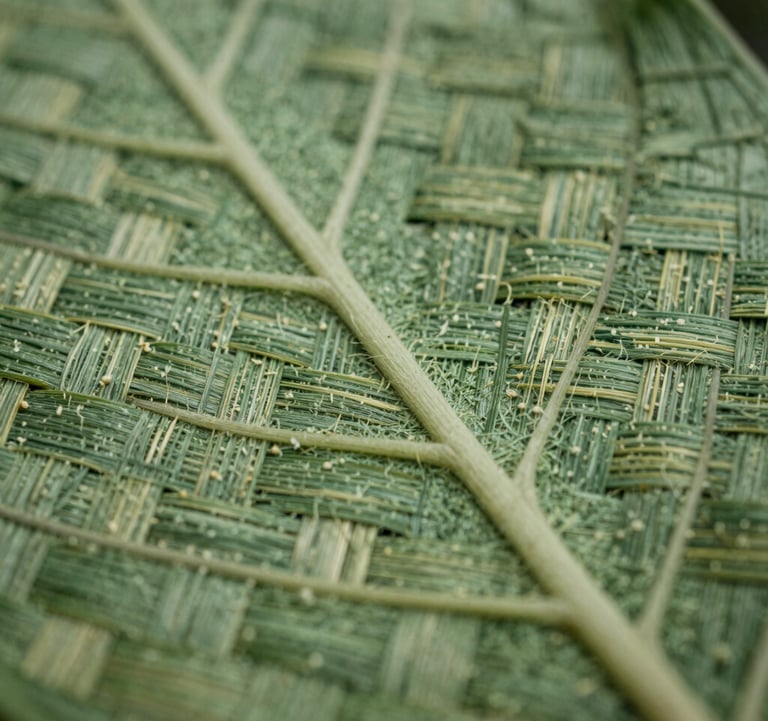A macro photograph showing the intricate texture of a leaf green woven fabric. The composition focuses on the organic patterns and fine details of the natural fibers, bathed in soft ivory light.