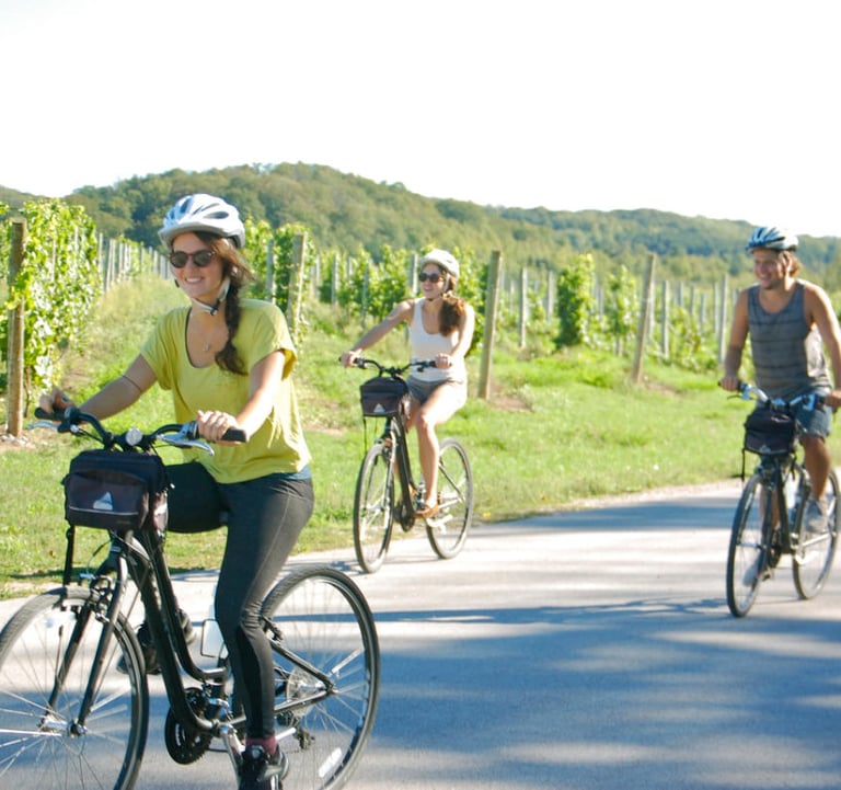 temecula wine country bike rentals