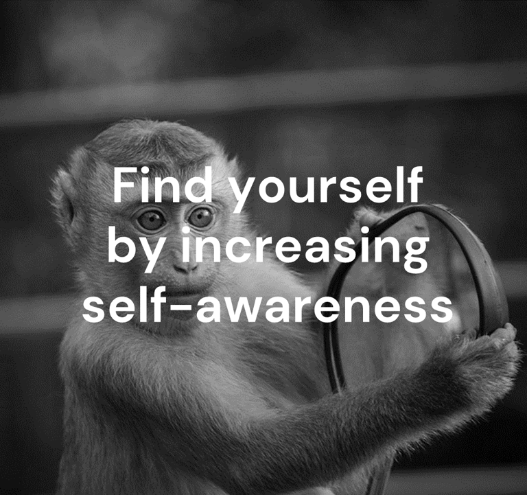 self-awareness find yourself monkey mirror