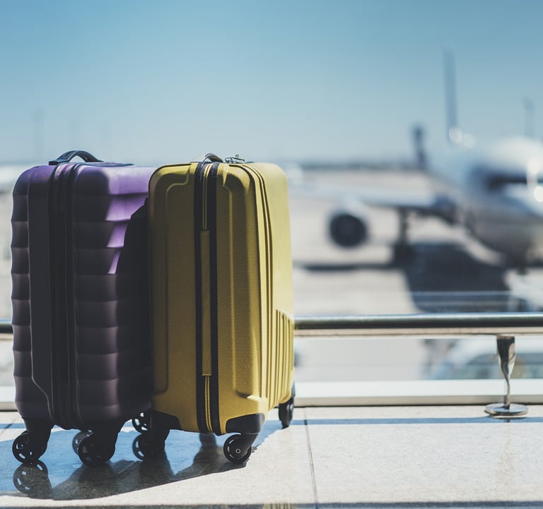 two suitcases sitting on a balcony overlooking a plane