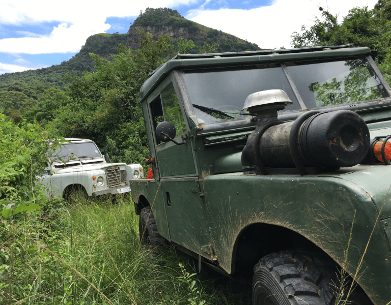 two land rovers deep in the bush