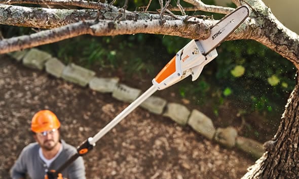 Jardinier Élagage à Albi dans le Tarn 81