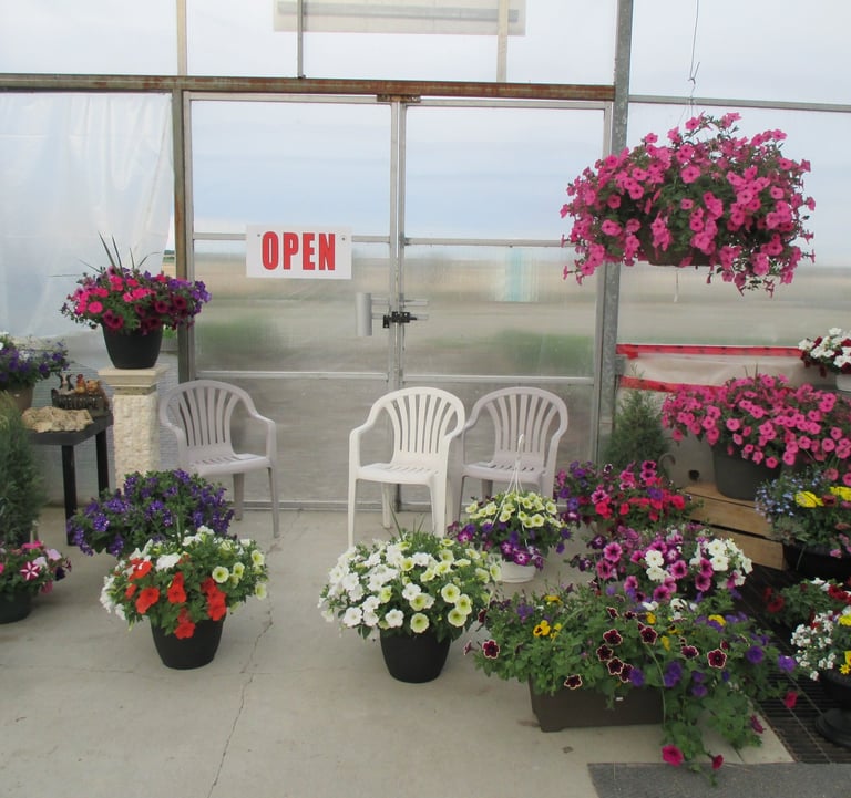 Welcome to Moore's Greenhouse Open 9am - 7pm