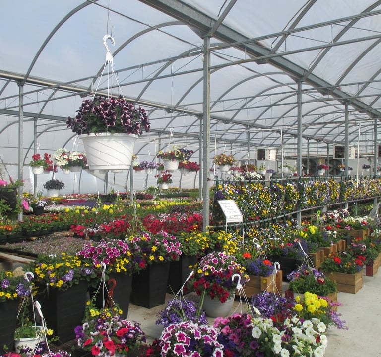Flowers, Tomatoes, Peppers, Herbs, and More!