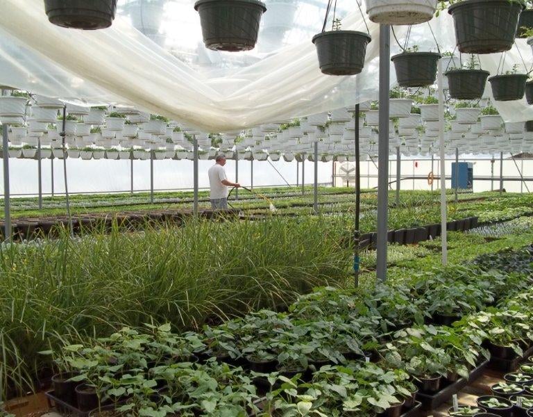 Everything is watered by hand!