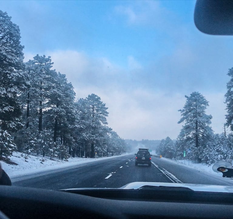 Snow covered landscape, road trip.