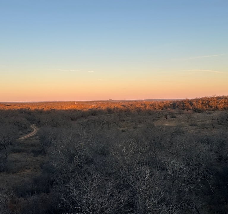 Hillside sunset picture over trees and off-road trail.
