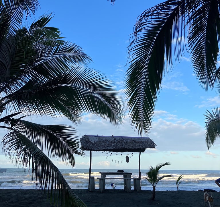 beachfront at camping babsita on the caribbean coast in costa rica