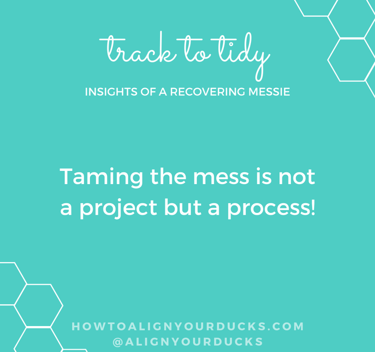 Taming the mess is not a project but a process!