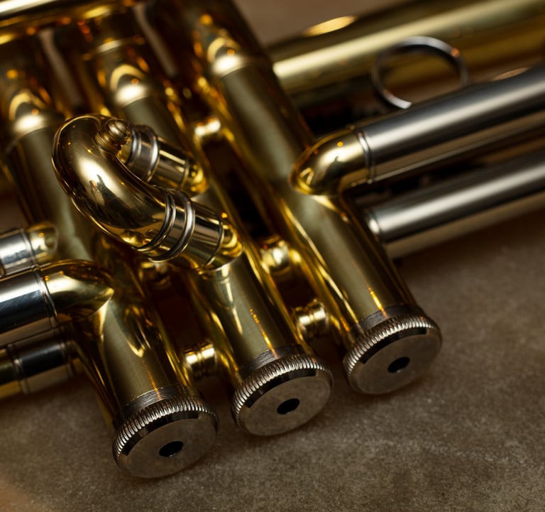 gros plan sur pistons de trompette