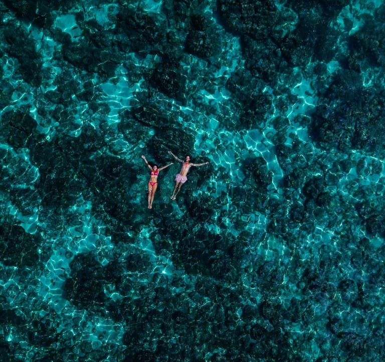 Socotra snorkeling tour