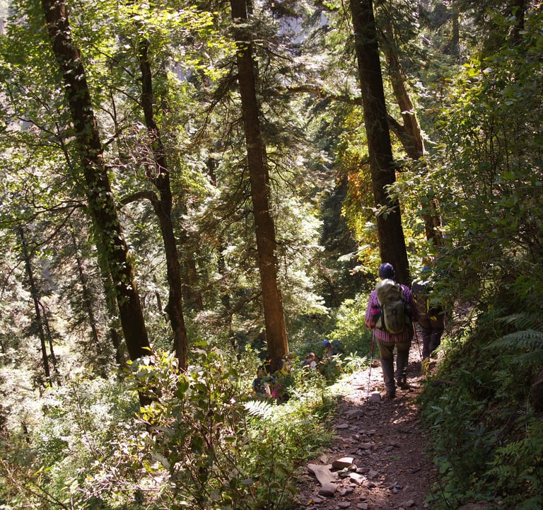 India Trekking