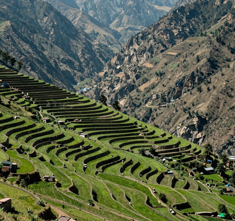 An expansive green land plot with tiered farming terraces in Uttarakhand, overlooking a deep valley, bright daylight, South Asian / Indian landscape.