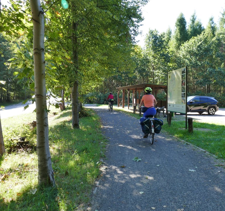 Ścieżka rowerowa przez Las Komorowski do Lasu Młochowskiego, parking leśny w Młochowie