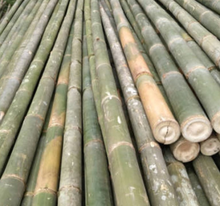 harga kayu bambu