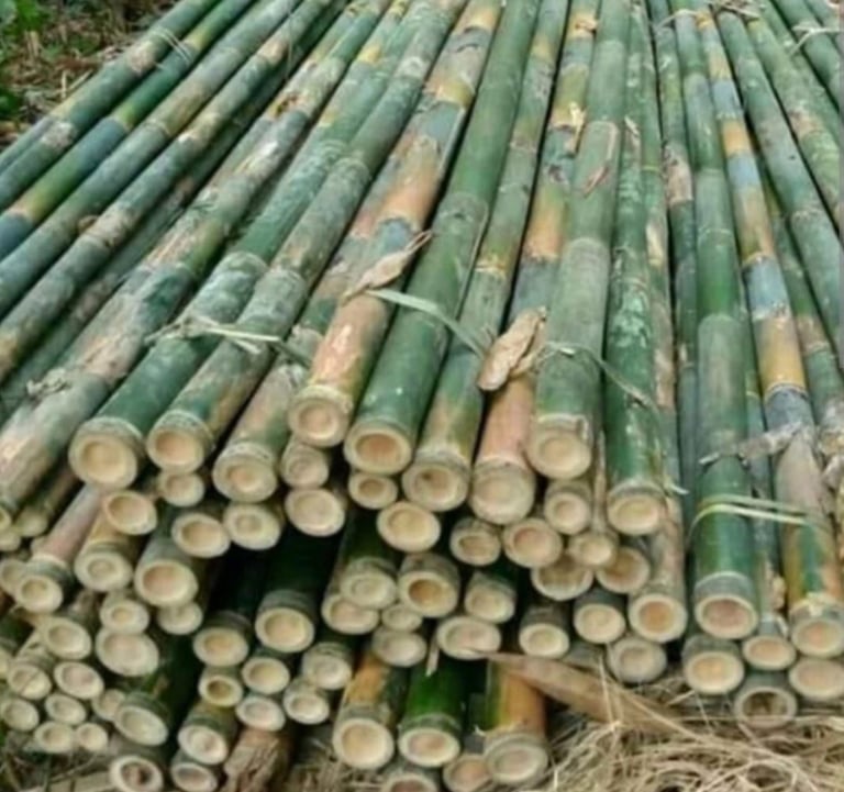 kayu bambu