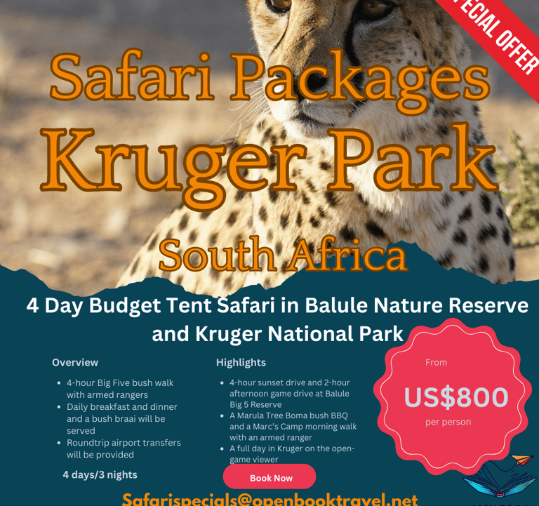 a cheetah showing Safari travel package deals