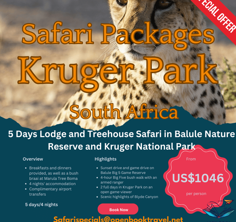 a cheetah poster for safari travel packages in Kruger national park