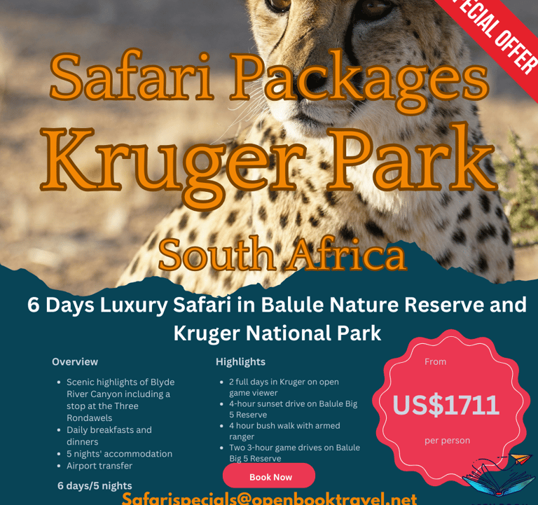 a cheetah poster showcasing safari Travel package deals