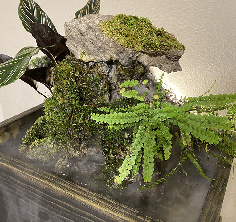 Indoor waterfall featuring moss-covered stone, ferns, and fog effects in a dark wood aquarium