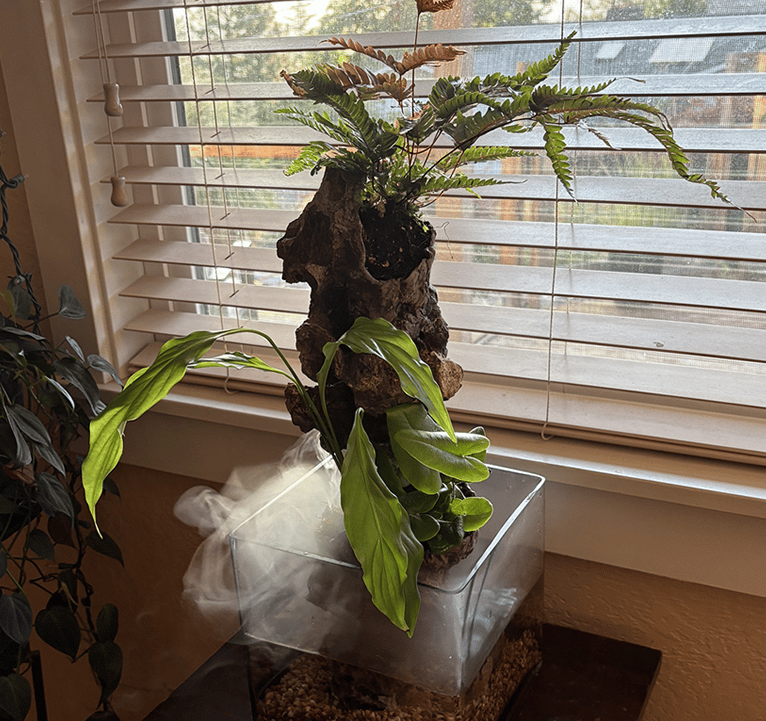 Miniature indoor waterfall by Phil Mikkelson featuring sculpted stone, live plants, a water pump, an