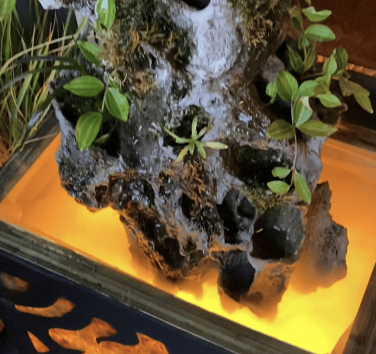 luminated base of tall waterfall sculpture with moss and plants by Phil Mikkelson