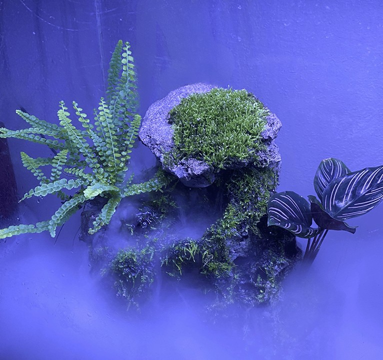 Moss-covered terrarium fountain featuring sculpted stone, ferns, and fog effects i