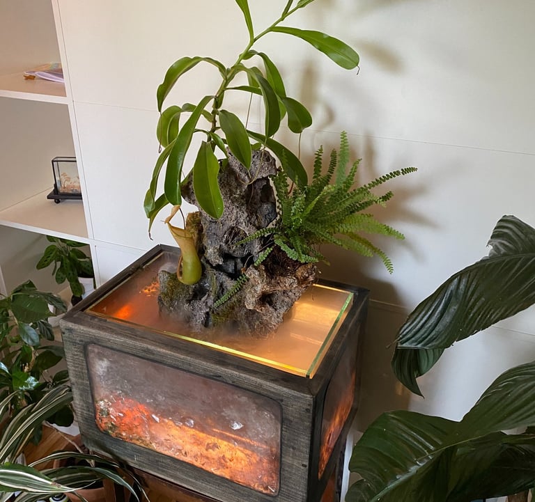 Exotic Water Garden by Phil Mikkelson — illuminated glass tank with fog, sculpted stone, Nepenthes, 