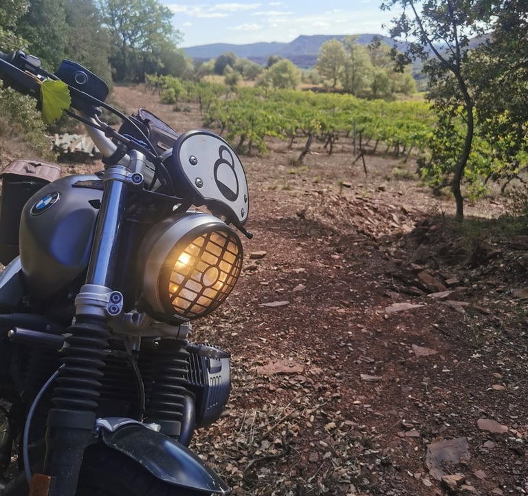 moto aventure dans vigne