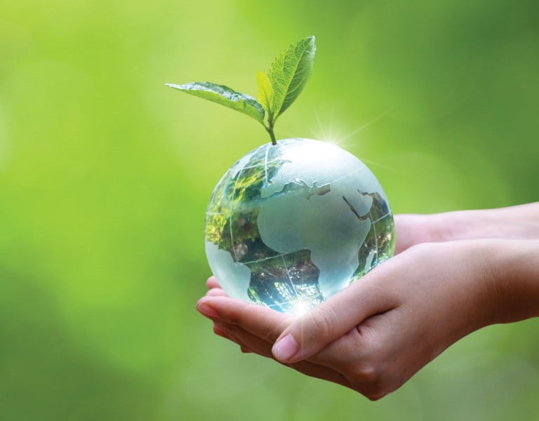 Picture of Globe in hand