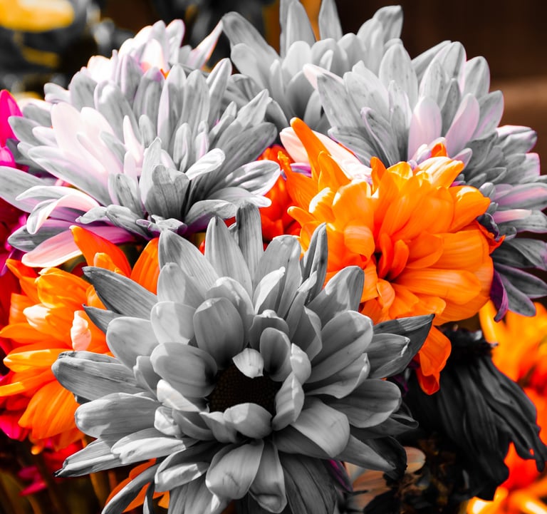 Orange and grey abstract flowers