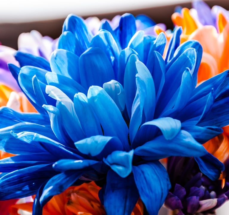 Blue flower