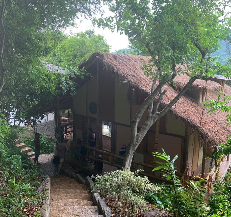 junglejoe ecolodge