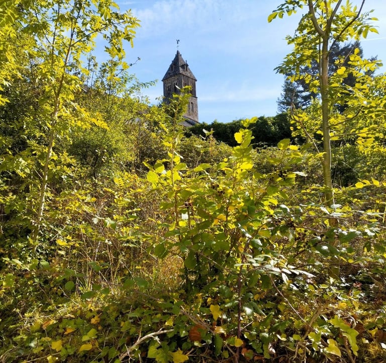 débroussaillage jardin à cluny
