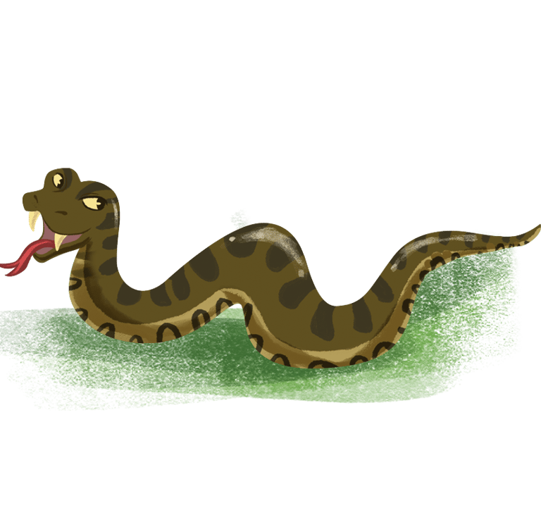 imagem de uma cobra sucuri assustadora